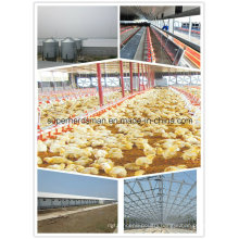 Modern Designed Full Set Automatic Poultry Farm Equipment